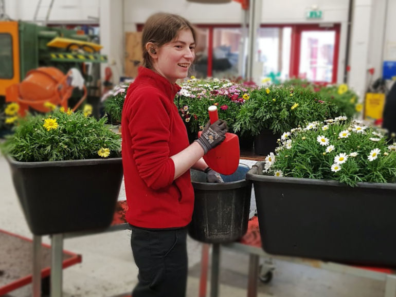 Blomsterkasser
