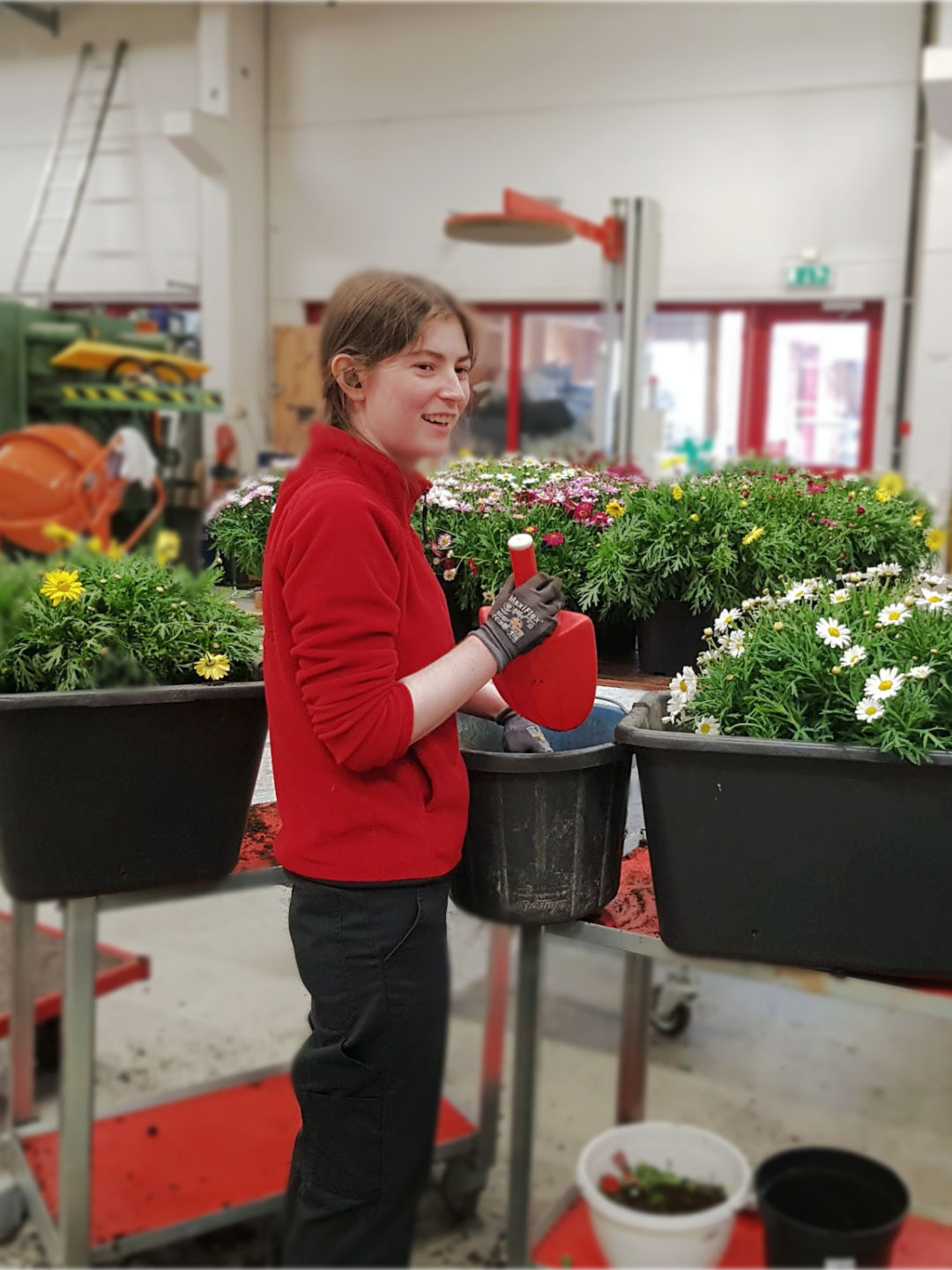 Blomsterkasser_stående