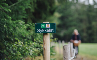 Elsykkel = suksess